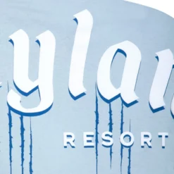 Stitch Spirit Jersey For Adults, Disneyland, Lilo & Stitch -Disney 2403050880246M 3